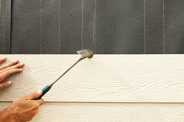 Best Fascia and Soffit Installation  in Swartz, LA